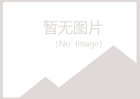 日照岚山敷衍建设有限公司